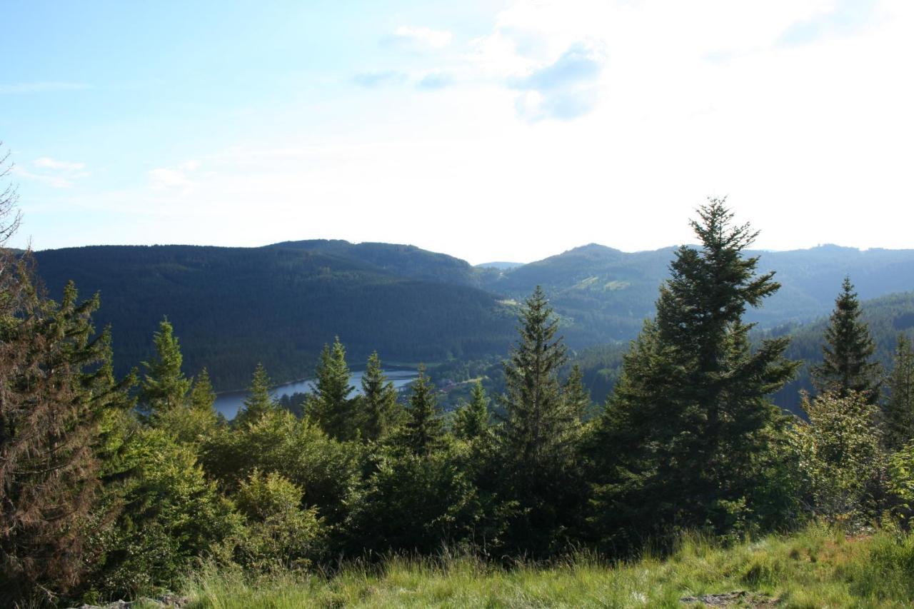 Black-Forest Holiday - Ferienresort Am Schluchsee Exterior foto