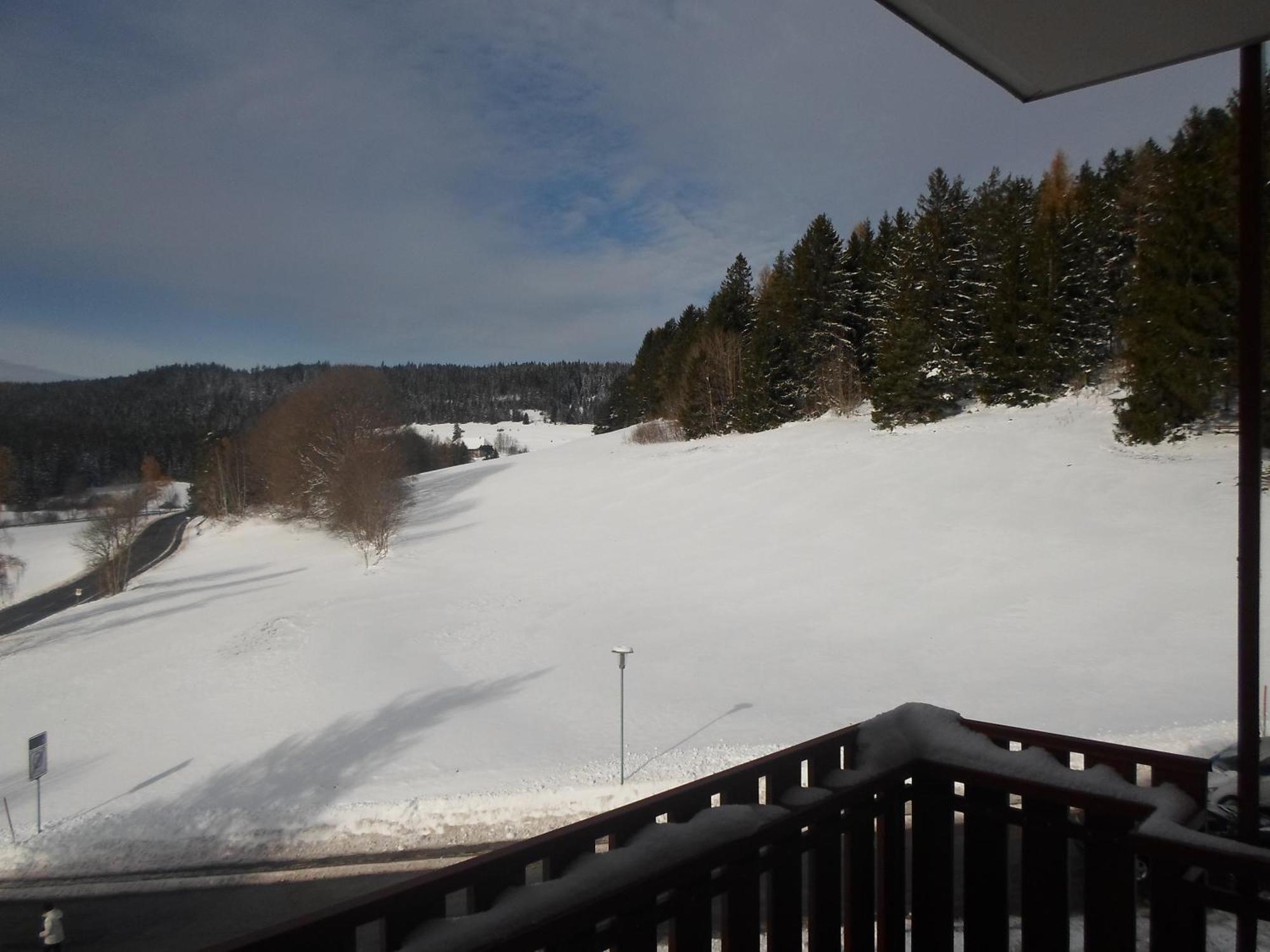 Black-Forest Holiday - Ferienresort Am Schluchsee Exterior foto